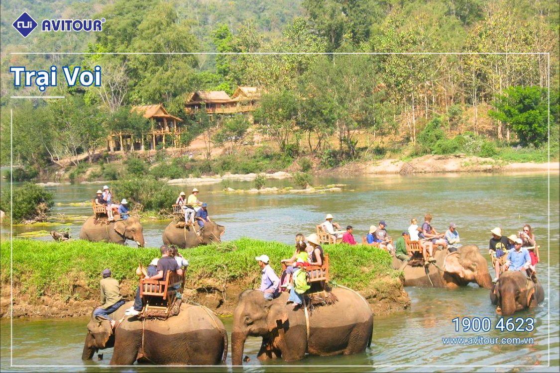 Ghé thăm Lào - "Đất nước triệu voi" | HÀ NỘI – VIENTIANE – LUANG PRABANG – HÀ NỘI
