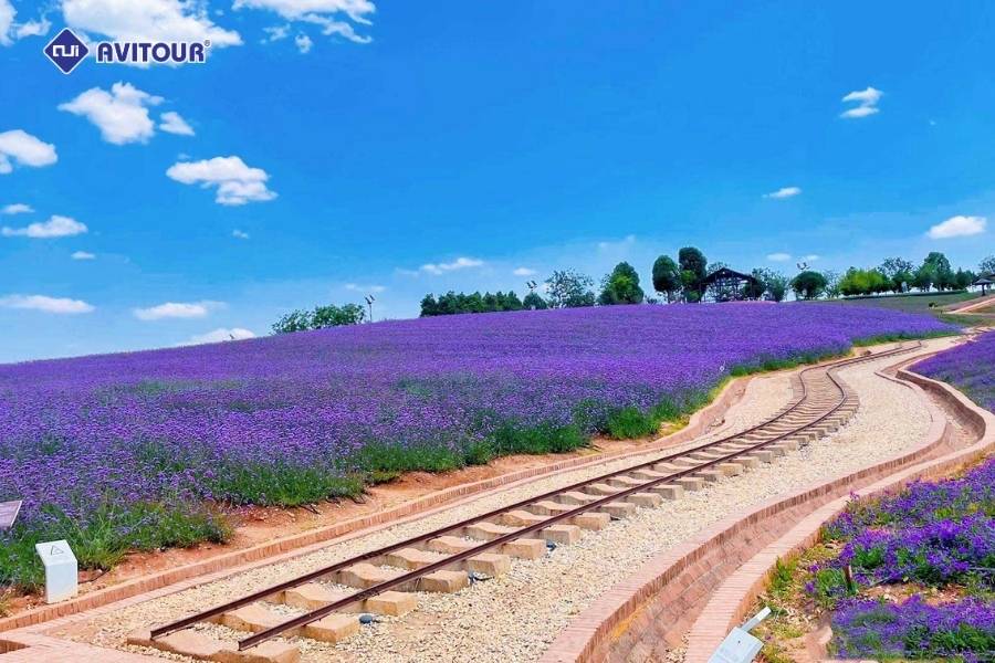 Gợi ý hành trình tham quan Đông Phong Vận trọn vẹn nhất