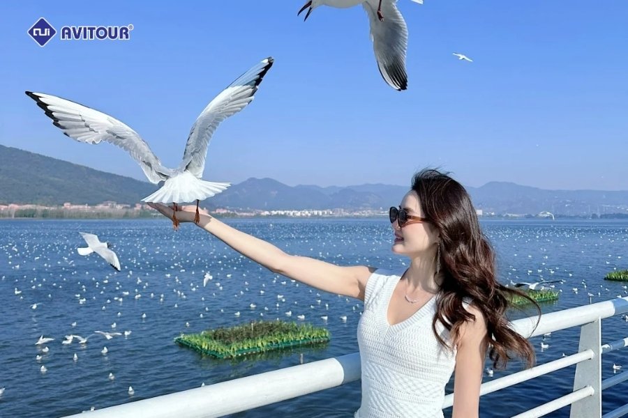 Hồ Điền Trì - Viên ngọc xanh giữa lòng Côn Minh