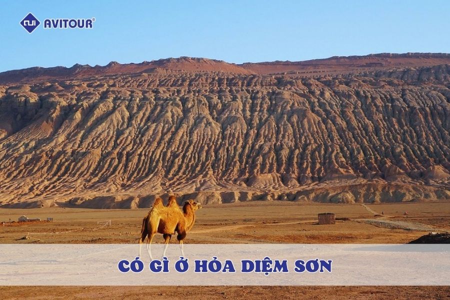 Hỏa Diệm Sơn có gì? Du lịch đến vùng đất "nóng bỏng" nhất Trung Quốc