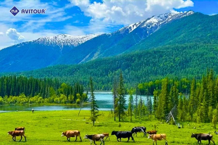 Hòa mình vào thiên nhiên hoang sơ tại khu bảo tồn Kanas - Chốn thần tiên ẩn mình giữa Tân Cương