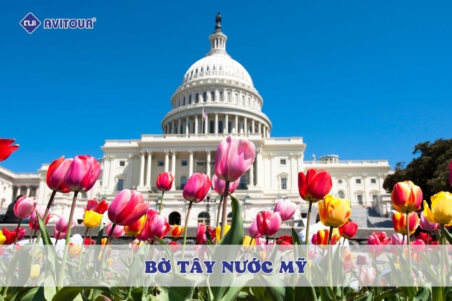 Khám phá Bờ Tây nước Mỹ: Hướng dẫn du lịch trọn vẹn 4 mùa