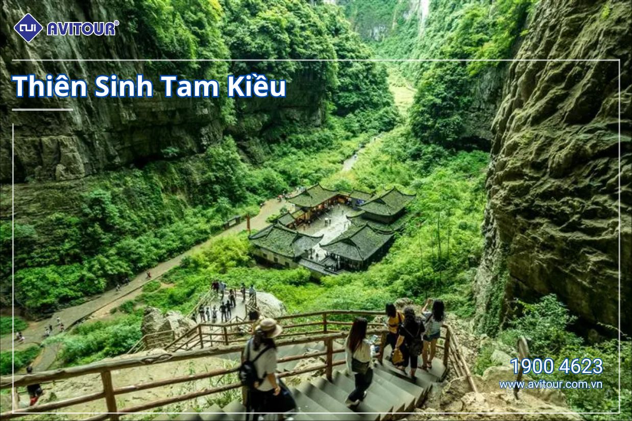 Khám phá chân trời mới Trung Quốc | TRÙNG KHÁNH - TỪ KHÍ KHẨU CỔ TRẤN - THIÊN SINH TAM KIỀU - NÚI TIÊN NỮ - VŨ LONG