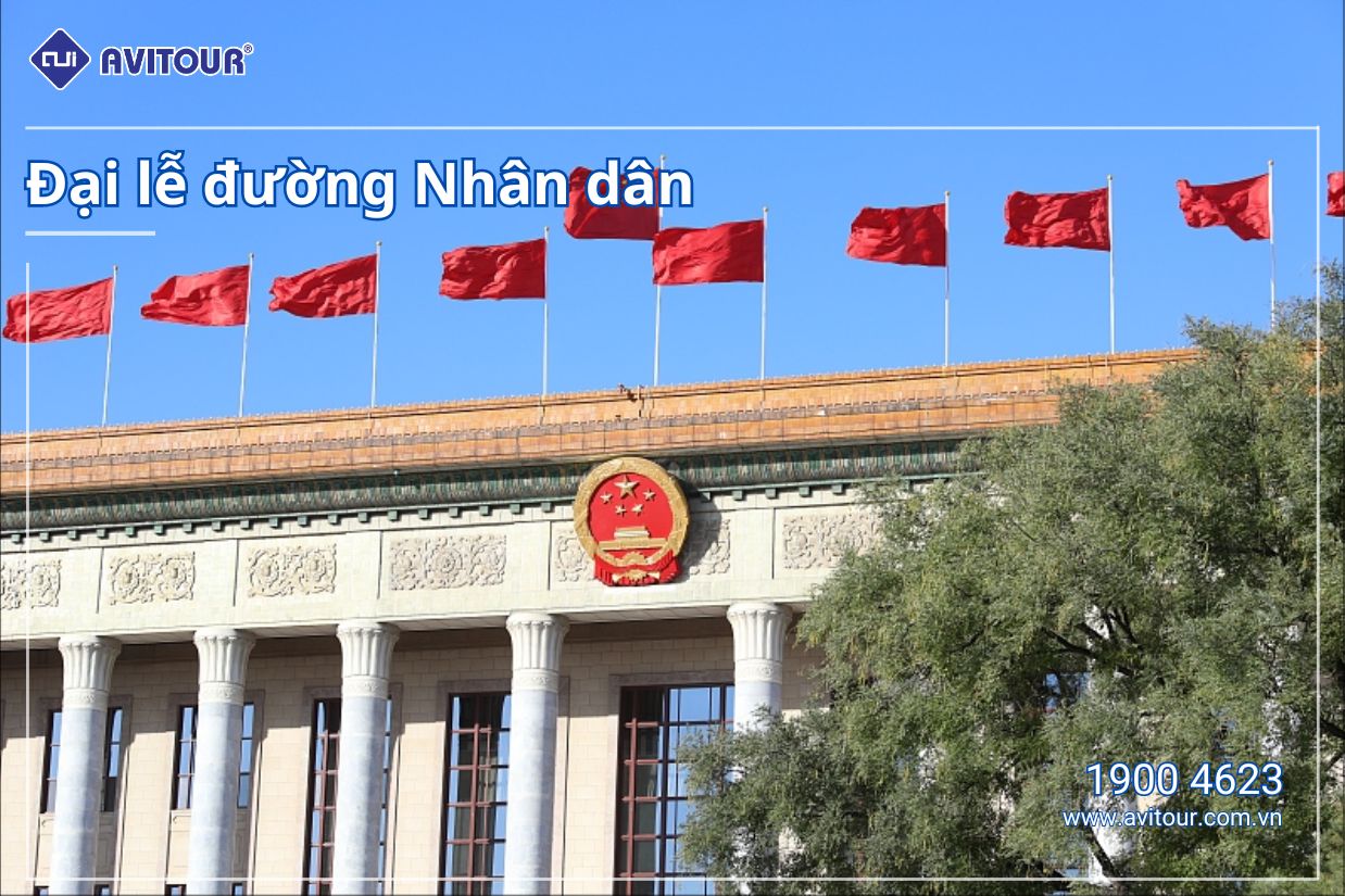 Khám phá chân trời mới Trung Quốc | TRÙNG KHÁNH - TỪ KHÍ KHẨU CỔ TRẤN - THIÊN SINH TAM KIỀU - NÚI TIÊN NỮ - VŨ LONG