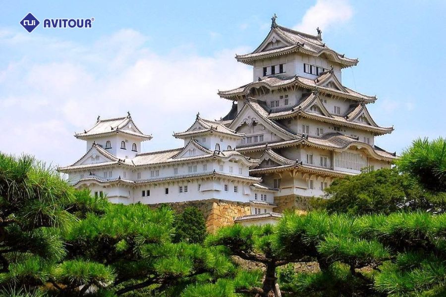 Khám phá cung điện Hoàng gia Tokyo: Bản giao hưởng giữa lịch sử và hiện tại