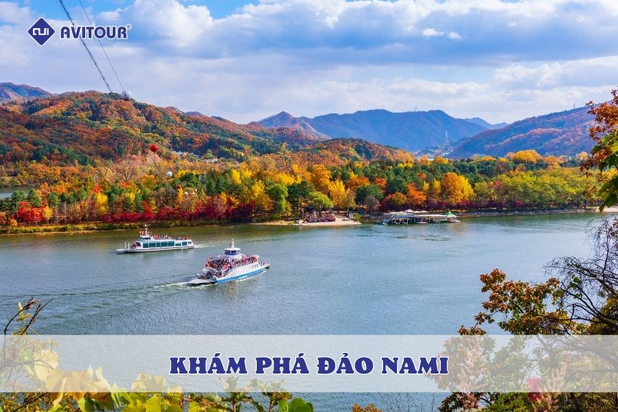 Khám phá Đảo Nami: Bức tranh thiên nhiên tuyệt mỹ tại xứ sở Kim Chi