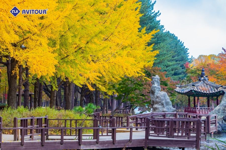 Khám phá Đảo Nami: Bức tranh thiên nhiên tuyệt mỹ tại xứ sở Kim Chi