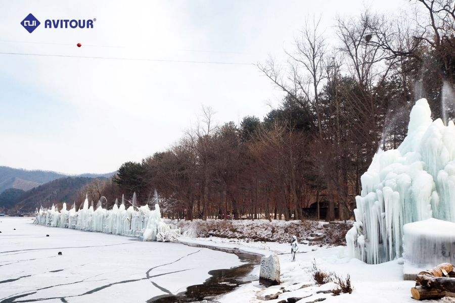 Khám phá Đảo Nami: Bức tranh thiên nhiên tuyệt mỹ tại xứ sở Kim Chi