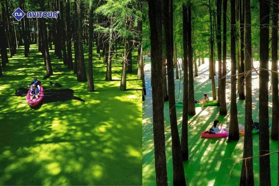 Khám phá Hồ Thanh Sơn: “Amazon thu nhỏ” giữa lòng Hàng Châu