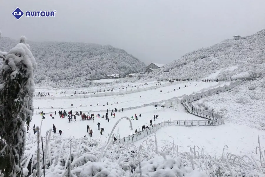 Khám phá khu trượt tuyết Kim Phật Sơn: Vui chơi và ngắm cảnh đẹp thiên nhiên