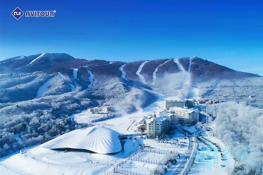 Khám phá mùa đông Bắc Á với trải nghiệm trượt tuyết tại Yabuli