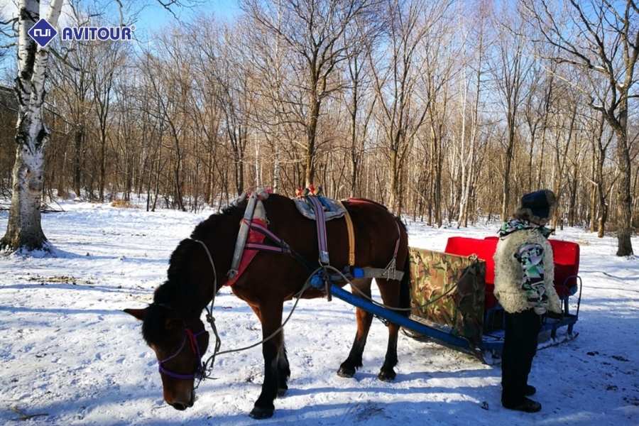 Khám phá mùa đông Bắc Á với trải nghiệm trượt tuyết tại Yabuli
