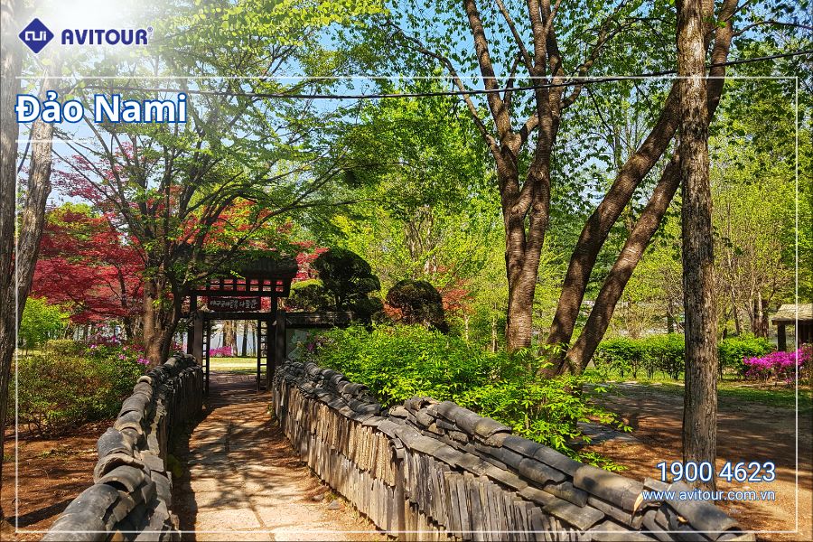 Khám phá mùa hè xứ sở kim chi Hàn Quốc: Đảo Nami (Nami Island)