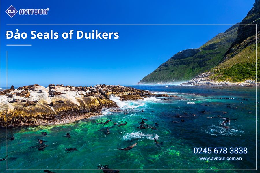 KHÁM PHÁ NAM PHI 2025: JOHANNESBURG - PRETORIA - GAME LODGE - CAPE TOWN