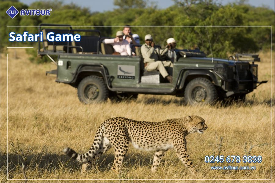 KHÁM PHÁ NAM PHI DỊP LỄ 30/4: JOHANNESBURG - PRETORIA - GAME LODGE - CAPE TOWN