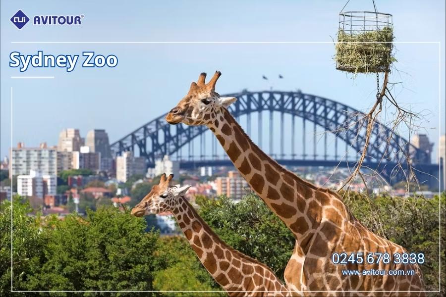 KHÁM PHÁ NƯỚC ÚC 2025: SYDNEY - CANBERRA - MELBOURNE