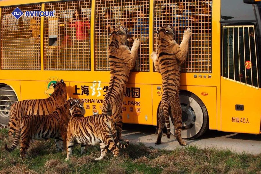 Khám phá Phố Đông và những trải nghiệm thú vị nhất 2025