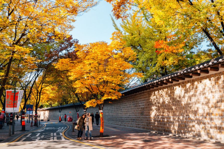 Khám phá Seoul - Top 7 địa điểm nổi tiếng