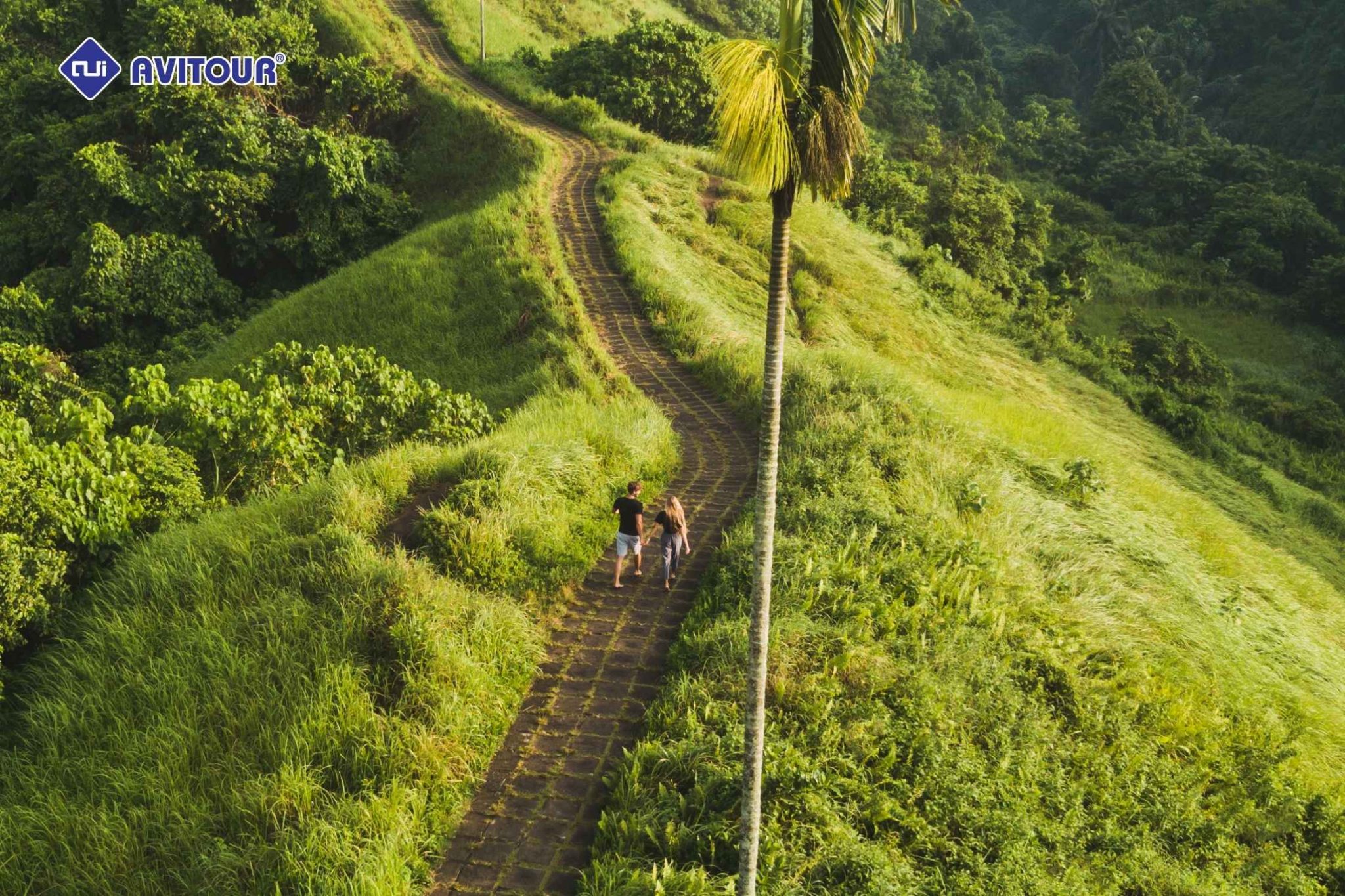 Khám phá thị trấn Ubud: Điểm hẹn văn hóa độc đáo trên đảo Bali