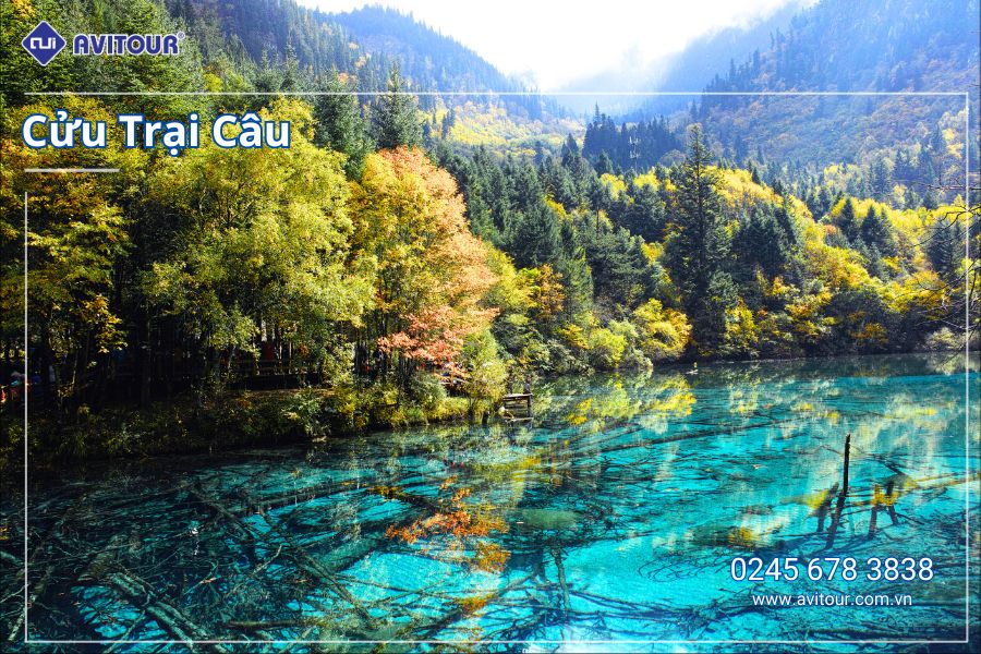 KHÁM PHÁ TRUNG QUỐC: TRÙNG KHÁNH - TỪ KHÍ KHẨU CỔ TRẤN - HỒNG NHAI ĐỘNG - CÔNG VIÊN GẤU TRÚC - TỊNH THỔ A BÁ - NGÕ RỘNG NGÕ HẸP- THÀNH ĐÔ - CỬU TRẠI CÂU