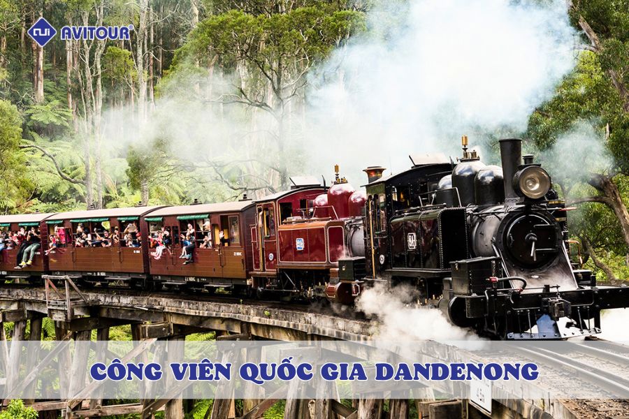 Khám phá vẻ đẹp hoang sơ của công viên quốc gia Dandenong
