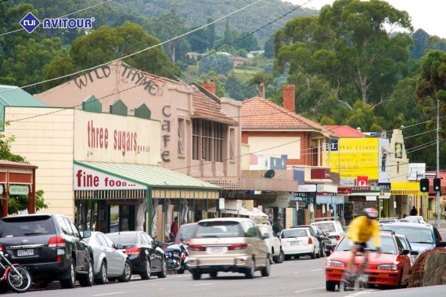 Khám phá vẻ đẹp hoang sơ của công viên quốc gia Dandenong