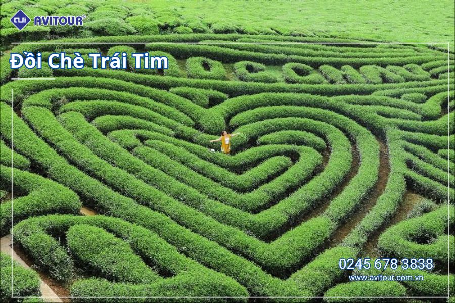 KHÁM PHÁ VÒNG CUNG TÂY BẮC: HÀ NỘI - MAI CHÂU - MỘC CHÂU - SƠN LA - ĐIỆN BIÊN - LAI CHÂU - SAPA