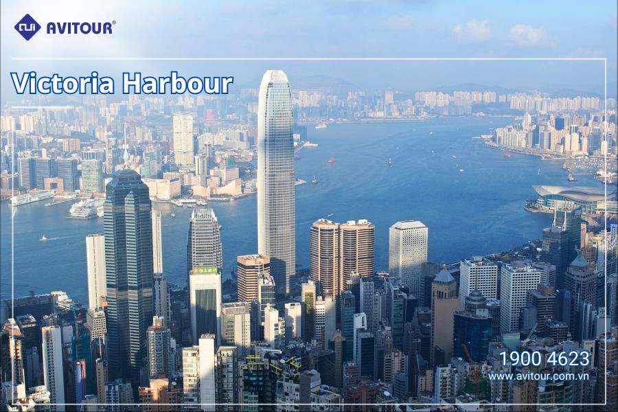Khám phá xứ Hương Cảng HongKong 2024: HONGKONG – DING DING TRARM - SHOPPING TOUR