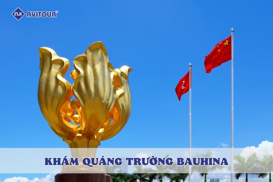 Khám phá quảng trường Bauhinia: Điểm đến không thể bỏ qua ở Hồng Kông
