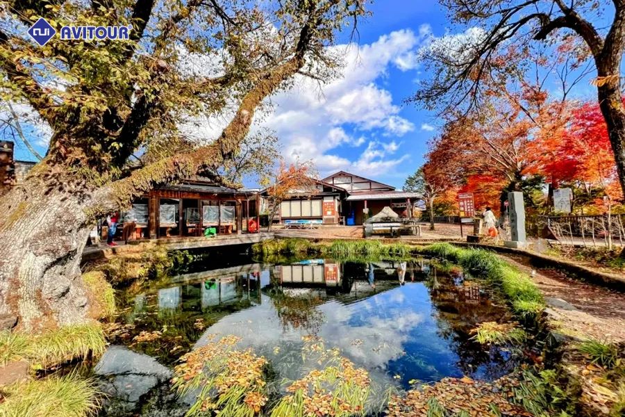 Khu làng cổ Oshino Hakkai: Nét đẹp truyền thống dưới chân núi Phú Sĩ