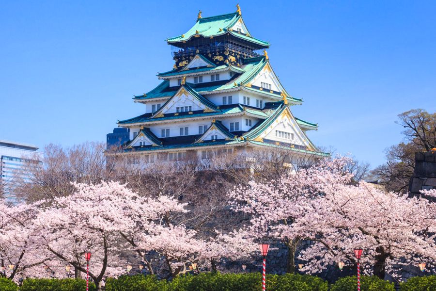 Kinh nghiệm đi du lịch Nhật Bản trọn bộ từ A-Z