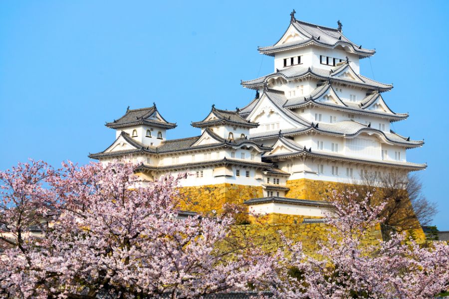 Kinh nghiệm du lịch Nhật Bản từ A tới Z cho người mới đi lần đầu