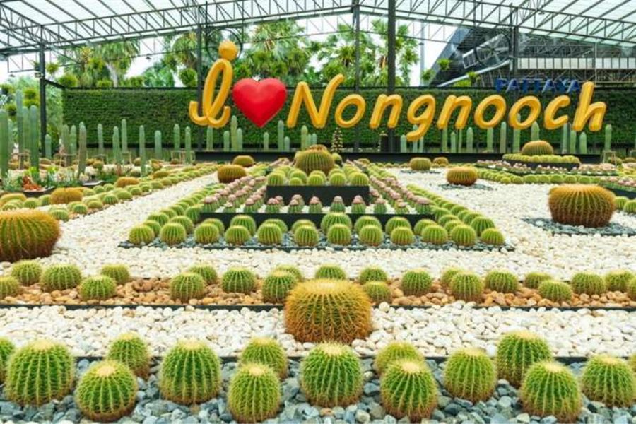 Lạc vào xứ sở cổ tích tại vườn bách thảo Nong Nooch Thái Lan