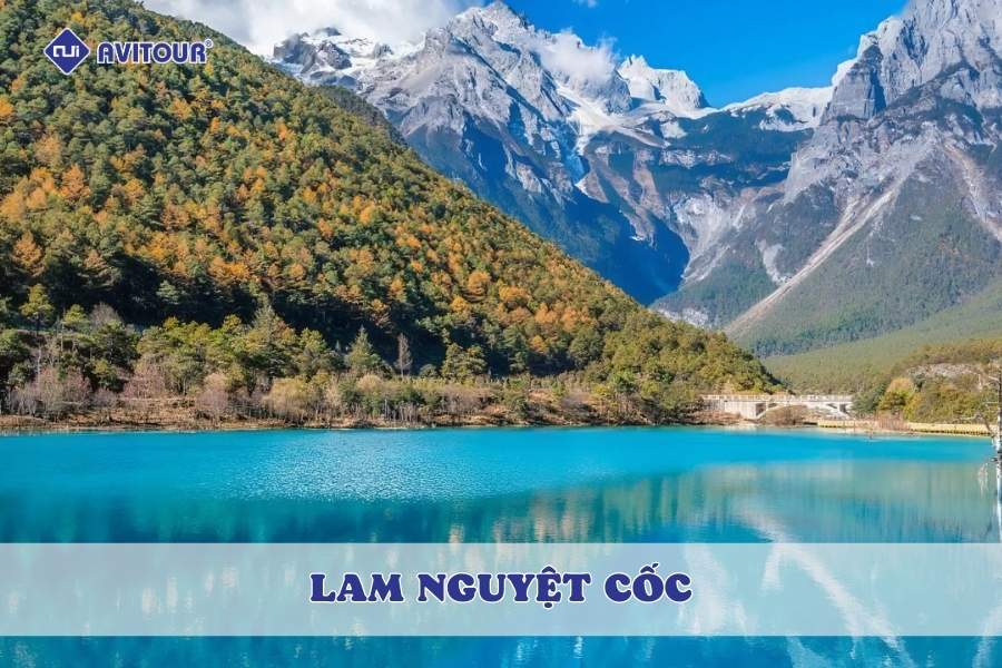 Lam Nguyệt Cốc - Bức tranh thủy mặc giữa núi rừng Ngọc Long