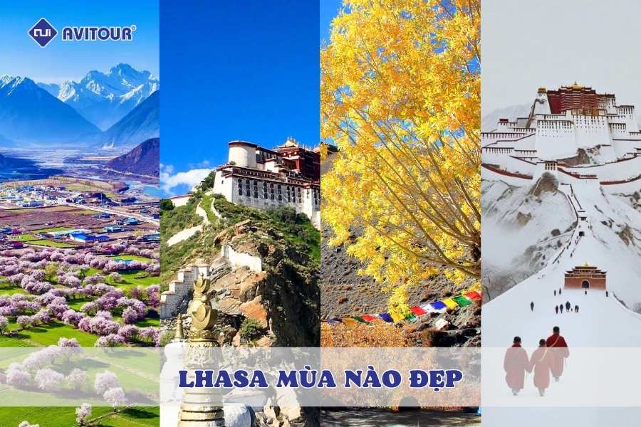 Lhasa mùa nào đẹp nhất? Gợi ý thời điểm lý tưởng để khám phá nóc nhà thế giới