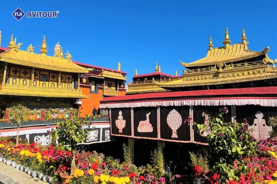 Lhasa mùa nào đẹp nhất? Gợi ý thời điểm lý tưởng để khám phá nóc nhà thế giới