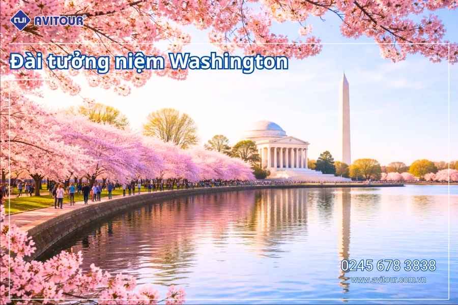 Du Lịch Liên Tuyến Tây Đông Hoa Kỳ (Mùa Hoa Anh Đào): Tour Los Angeles - Santa Monica - San Diego - Las Vegas - Seven Magic Mountain - Hẻm Núi Đá Đỏ Red Rock Canyon - Washington Dc - Philadelphia - New York Từ Hà Nội 2026