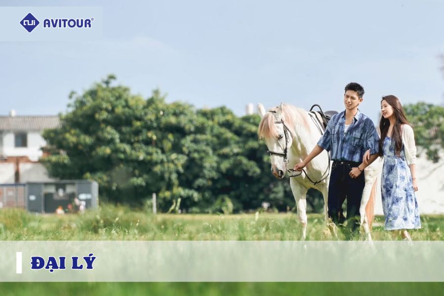 Mê đắm cảnh sắc Đại Lý qua bộ phim "Đi đến nơi có gió"