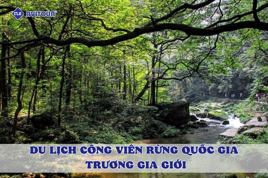 Nhất định phải ghé công viên rừng quốc gia Trương Gia Giới một lần