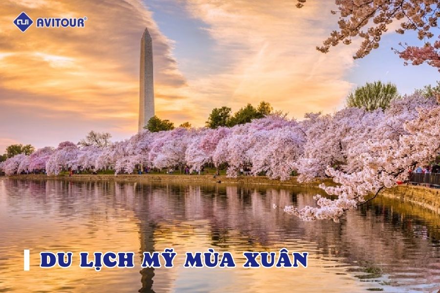 Du lịch Mỹ mùa xuân có gì hấp dẫn?