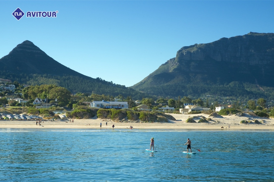 Những Điều Tuyệt Vời Khi Khám Phá Cape Town Bạn Chưa Biết