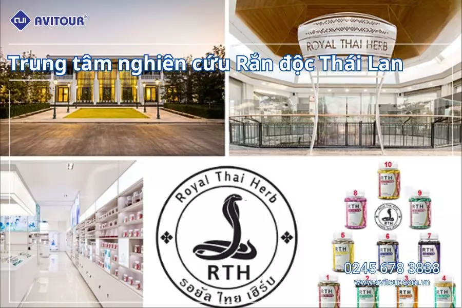 RỰC RỠ NOEL KHÁM PHÁ BANGKOK: HÀ NỘI - BANGKOK - PATTAYA