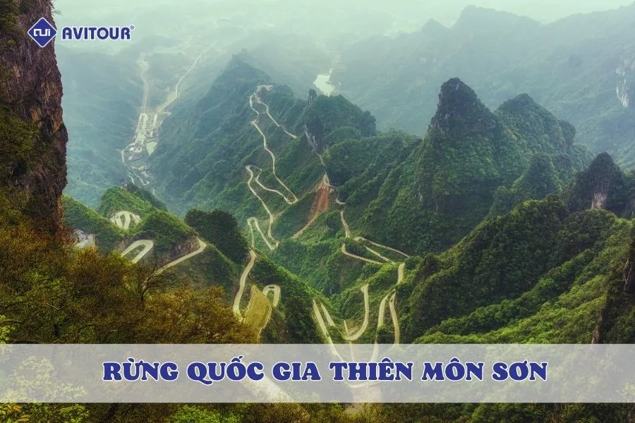 Rừng Quốc gia Thiên Môn Sơn - Điểm đến không thể bỏ qua khi du lịch Trung Quốc