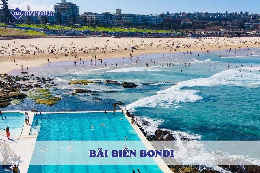 Tận hưởng mùa hè sôi động tại bãi biển Bondi, Australia