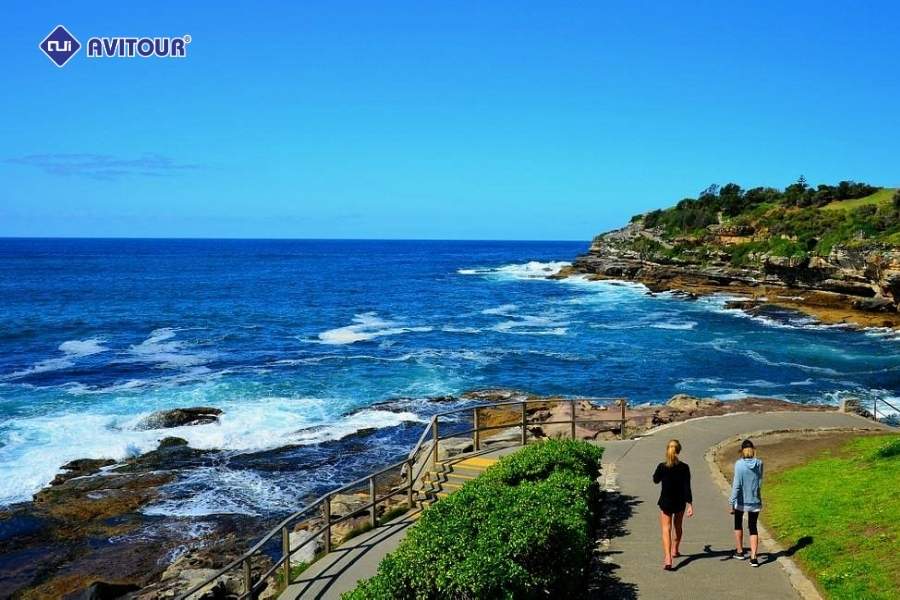 Tận hưởng mùa hè sôi động tại bãi biển Bondi, Australia