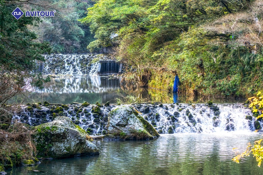 Thác Cheonjiyeon: Thiên Đường Lãng Mạn Trên Đảo Jeju