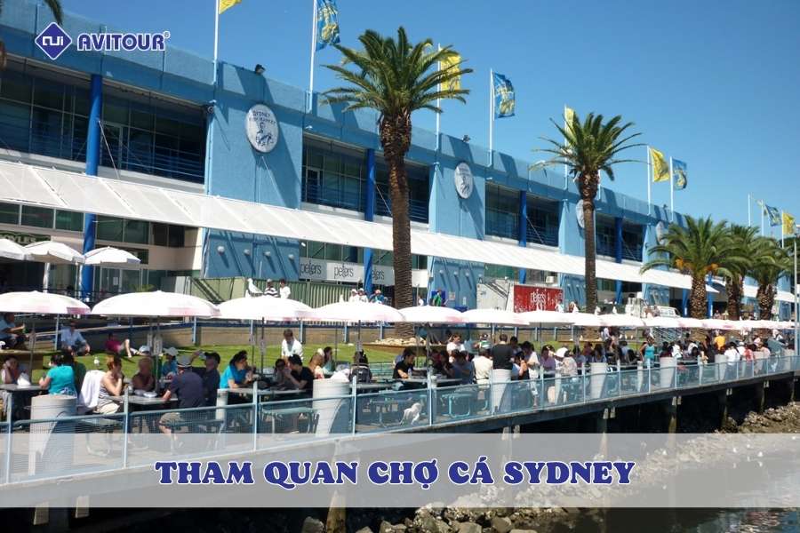 Tham quan chợ cá Sydney: Thiên đường hải sản cho tín đồ sành ăn