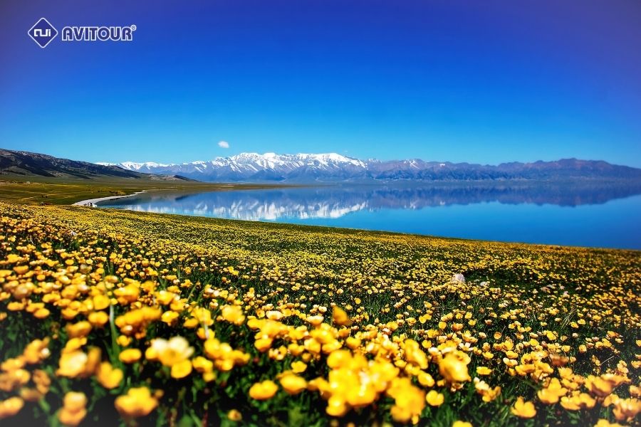 Tham quan hồ Sayram: Giọt nước mắt cuối cùng của Đại Tây Dương