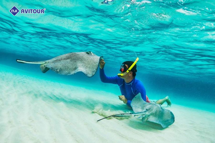 Tham quan Nusa Penida: Hòn đảo thiên đường của Bali