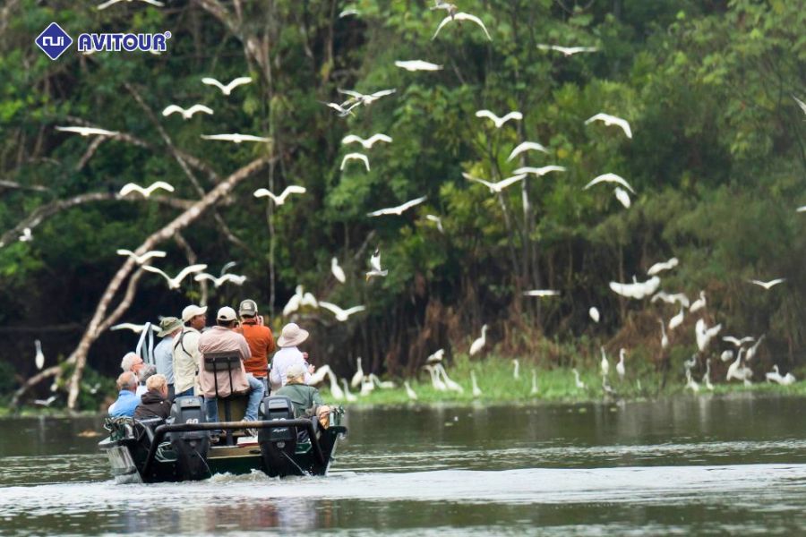 Tham quan rừng già Amazon: Hệ sinh thái kỳ bí nhất thế giới